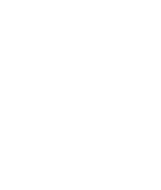 Hire Magento Developer