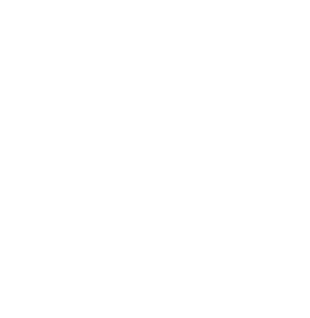 Laravel Web Development