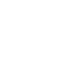 Magento Web Development