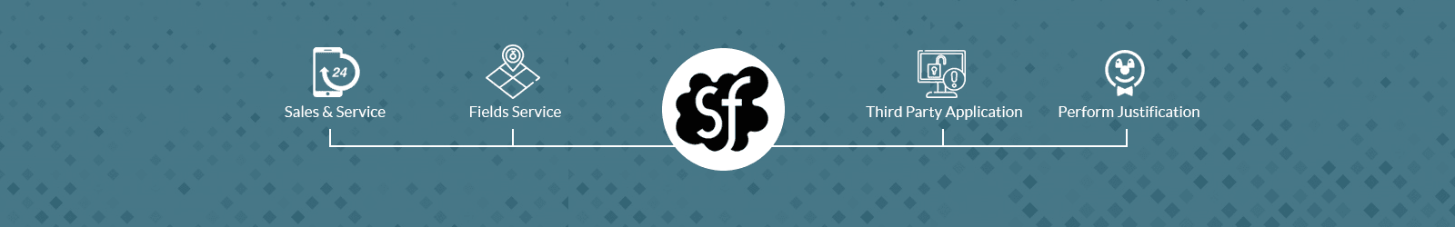 Professional SalesForce Platform Development Services