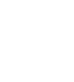 Custom Wordpress Development
