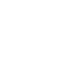 Custom Wordpress Development