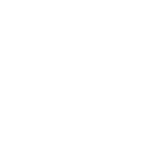 Custom Wordpress Development