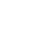 Custom Wordpress Development