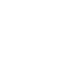 Custom Wordpress Development