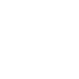 Custom Wordpress Development