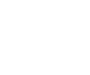Custom Wordpress Development