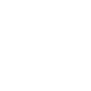 playicon