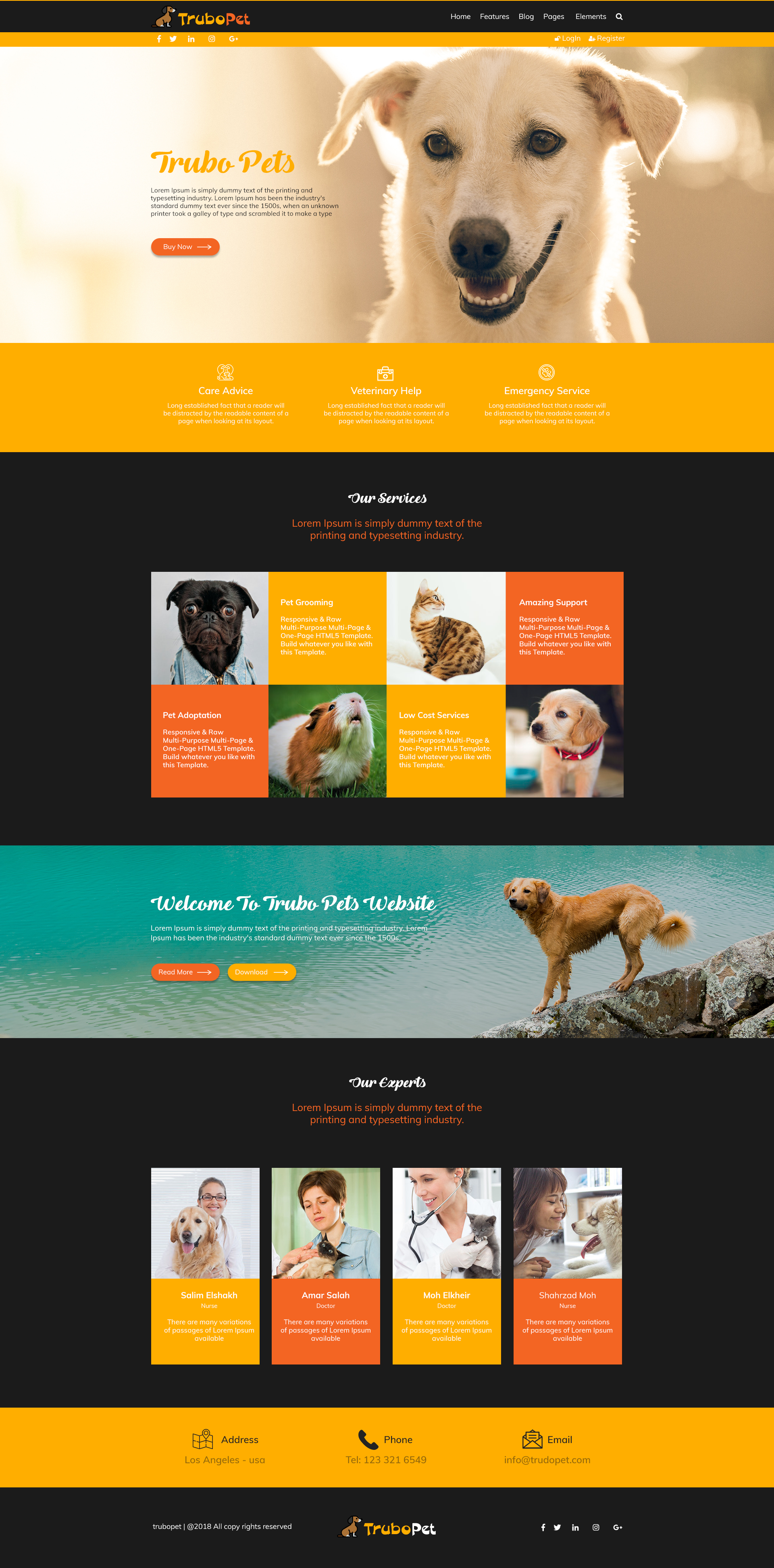 Turbo Pet Website Template
