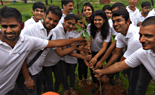 Plantation 2016